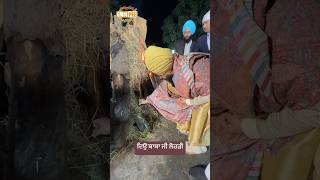 Dhadrianwale Latest Video Reel 13 01 2025 723