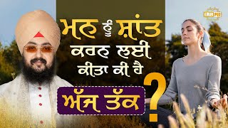 What Have You Done To Calm Your Mind Until Now | DhadrianWale