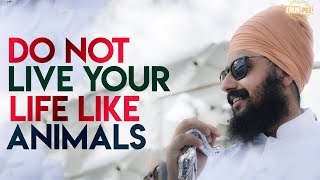 Do not LIVE your LIFE like ANIMALS | Bhai Ranjit Singh Dhadrianwale