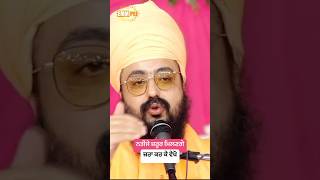 Dhadrianwale Latest Video Reel 14 11 2024 794