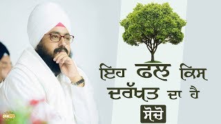 Which tree this fruit is from? | DhadrianWale
