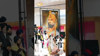 Dhadrianwale Latest Video Reel 30 11 2024 174