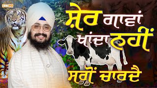 The Lion Does Not eat the Cows but Feeds Them | Dhadrian Wale